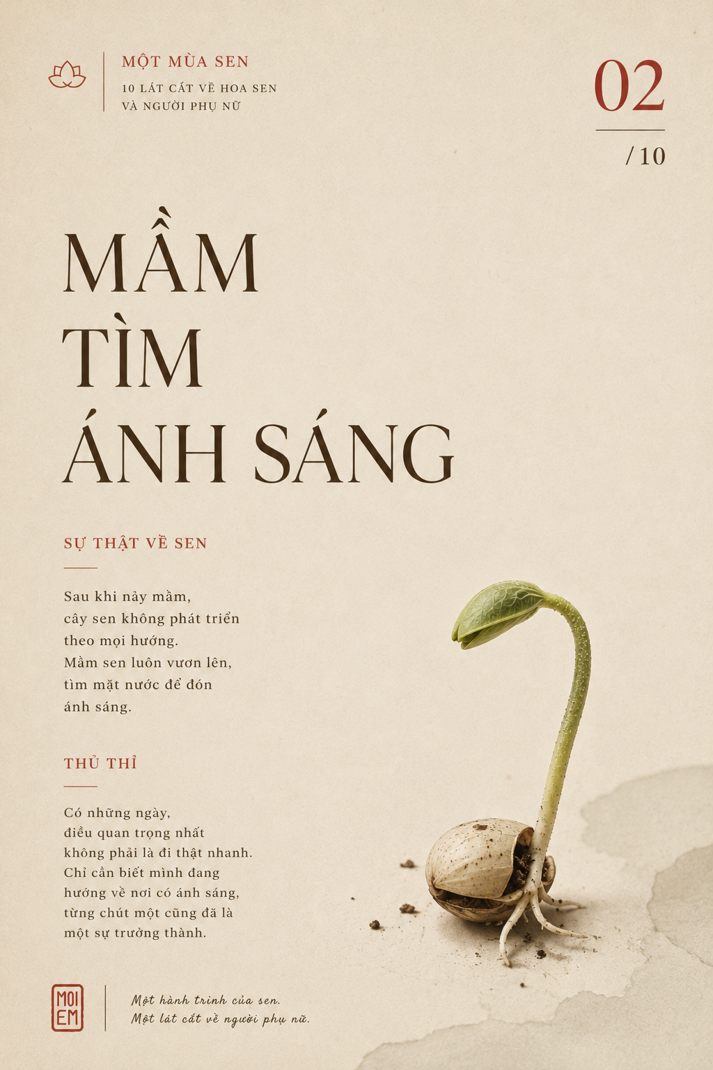 Mầm tìm đường lên · Một mùa sen 02/10